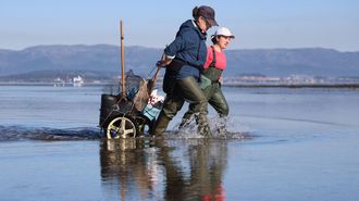 Unha ma�� de marisqueo no banco de O Serrido