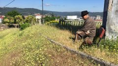 Maleza en las calles de la capital