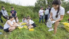 Mar de F�bula convoc� para ayer una limpieza en la zona de A Basa. Fue en su d�a un importante banco marisquero de Camari�as