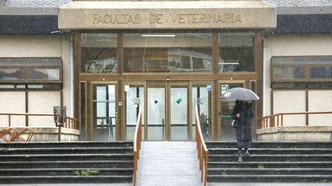 Imagen de la entrada principal a la Facultade de Veterinaria, en donde estar la sede del nuevo instituto
