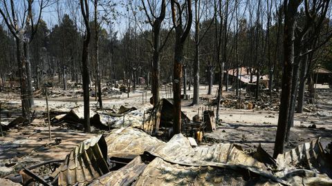 Un bosque quemado en uno de los recientes incendios en �vila.