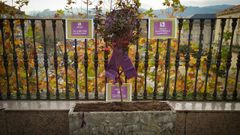 Homenaje a v�ctimas de violencia de g�nero.