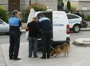 Captura de un perro en Monforte por parte de la sociedad protectora de animales en el 2013. 