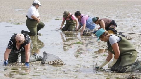 Marisqueo en el Anll�ns, en imagen de archivo