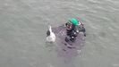 Un buzo de la Guardia Civil rescata del agua de la r�a de Muros el arma del crimen