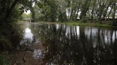 El tramo del r�o Cabe que pasa por Ribas Altas est� considerado este a�o no apto para el ba�o por la Conseller�a de Sanidade