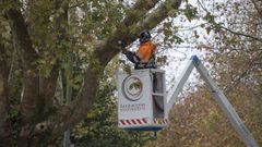 En una imagen de archivo, un operario de la empresa que instala el alumbrado navide�o de Santiago durante la colocaci�n de unas luces