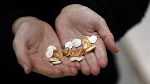 Los llamados «bíteres» que regalará como joya natural la hostelería de Barreiros y que tienen leyenda propia