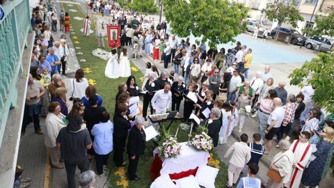 Alfombras flores de Ares
