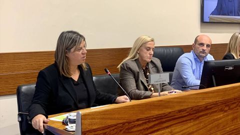 La vicepresidenta del Gobierno asturiano, Gimena Llamedo, y la diputada del PP Susana Fernndez Arias durante la comisin parlamentaria en la Junta General.