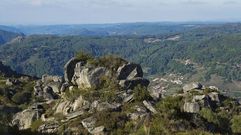 Plantaciones de pinar en la paroquia de Pombeiro, en Pant�n