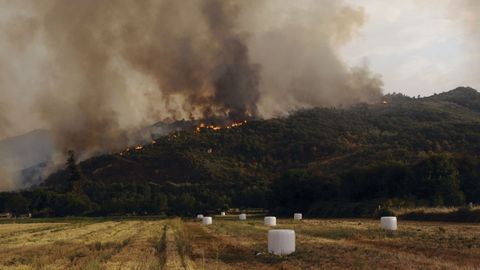 Incendio forestal en Oímbra.