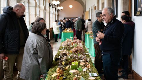 Exposición micológica en San Marcos
