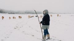 El 8M, a trav&eacute;s de la c&aacute;mara de Alejandro Camba