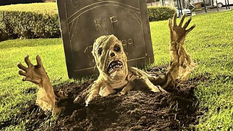 Detalle de la decoracin de Saman en Pontedeume.