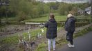 Los destrozos de la borrasca Oliver en Lugo, el da despus