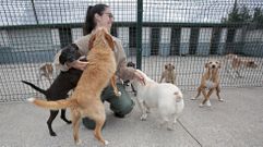 Una voluntaria de Os Palleiros con ejemplares que esperan para ser adoptados.