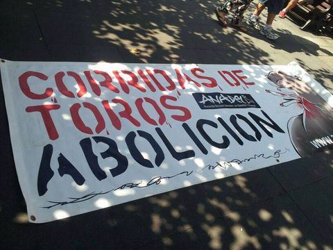 Protesta de Anadel contra los toros, en Gij�n.Protesta de Anadel contra los toros, en Gij�n 