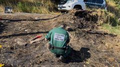 El Seprona particip en la investigacin.