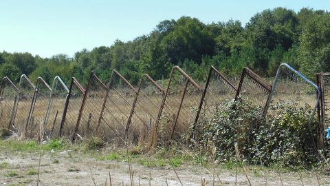 «Poñendo portas ao campo»  
