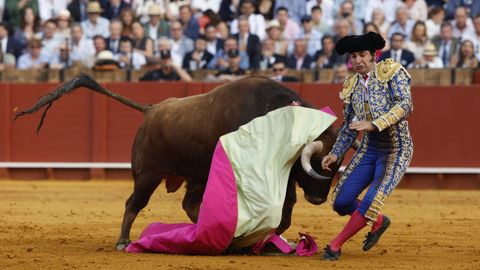 Morante de la Puebla sufri� una grave cogida en la plaza de la Maestranza en Sevilla