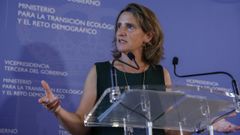 Teresa Ribera, vicepresidenta tercera y ministra para la Transici�n Ecol�gica, ayer, en una rueda de prensa.
