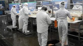 Imagen de archivo de operarios en la planta de elaborado de Alpesca cuando la gestionaba Red Chamber