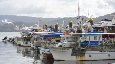 Puerto de Combarro esta semana