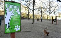 En el �nico parque canino existente se cambiar� el cierre para sustituirlo por uno m�s alto. 