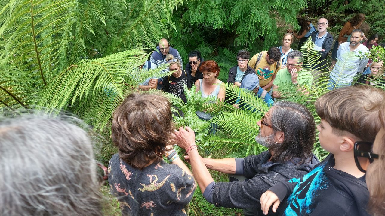 La vuelta al mundo botánico con «el mesías de las plantas» y el salvador del nenúfar más pequeño sin salir de Luarca