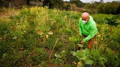 Antonio Gonz�lez trabaja todas las tardes en su huerta y participa en el proyecto de aprovechamiento de excedentes agrarios