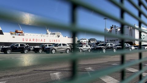 Veh�culos de Geely en la terminal de Bouzas a la espera de ser distribuidos por Espa�a y Portugal.
