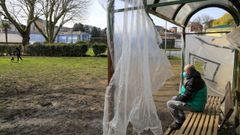 Los caniles de Lugo a revisi�n