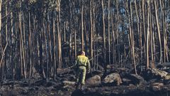 Zona de Bexo, en Dodro, donde se inici� el devastador fuego que r�pidamente salt� a Rianxo