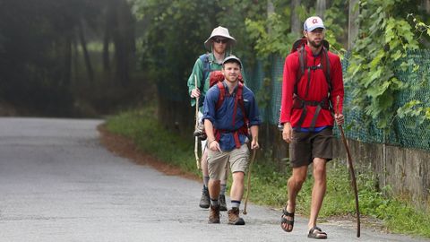 La cifra de peregrinos ha vuelta a subir, especialmente los que hacen el Camino Portugu�s