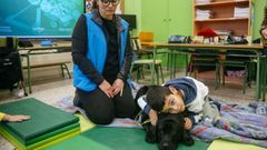 En el CEIP Padre Feijoo de Allariz aprenden que un perro puede ayudar a su compa�ero Mart�n, afectado de s�ndrome de Tourette