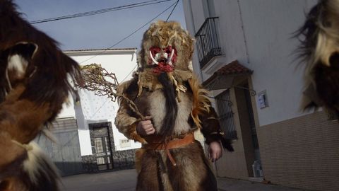 Carantona de Acebuche en Cáceres