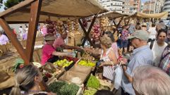 Feira da Cebola en Sanxenxo