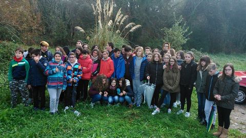 Alumnos del IES cedeirés Punta Candieira, durante su participación en uno de los proyectos del curso pasado centrado en la hierba de la pampa