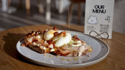 Una de las tostadas de la carta para humanos de Sammy Pet