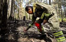 Un investigacin policial sobre el terreno