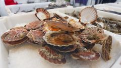 Poco marisco en la plaza de Abastos, de Vilagarc�a