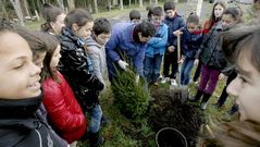 Alumnos de los ceip San Roque y Lois Tob�o de Viveiro plantan �rboles en San Roque dentro del programa Voz Natura