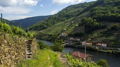 Caminata visual por los Codos de Belesar