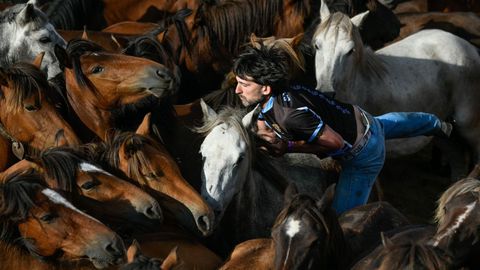 Rapa das Bestas de Sabucedo, en su pasada edición.