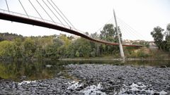 Bajo nivel del ri� Mi�o, el pasado octubre