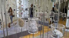 Imagen del Museo de Historia Natural