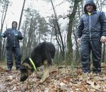  En la imagen se puede ver a Chispa, una perra hist�rica cuando est� encerrada y que al salir est� alegre y tranquila. El estado de un perro nervioso es el de no parar de mirar a todos los sitios. Y el de uno tranquilo es olfatear el suelo sin preocuparle el entorno.