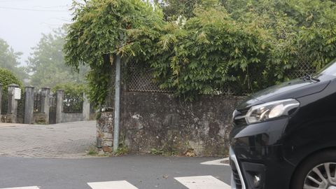 La maleza cubre totalmente una se�al de tr�fico en la calle Divina Pastora