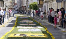 Centenares de visitantes se acercan cada a�o a la villa para admirar los mantos florales. 